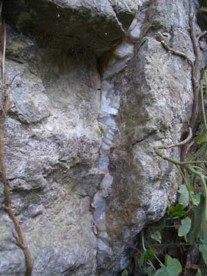pic-6.jpg